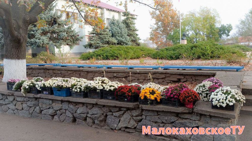 ��������� ��� ����� ����������� ������ ������� �������� ����� ��� ������ �������� ����