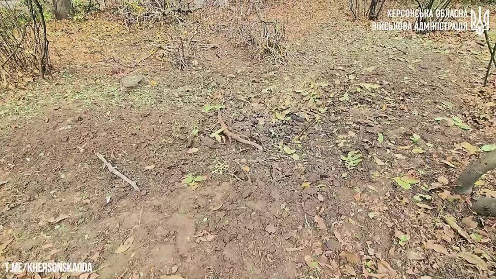 � �� ��� ������.... � ������� � ���������� �������� ������� ���������� ���, ��� ��� �������� ������ "... �������...