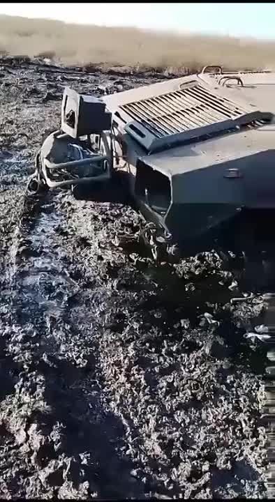 ������������� �� ���� ���������� ��������������� Oncilla ��������� ������������