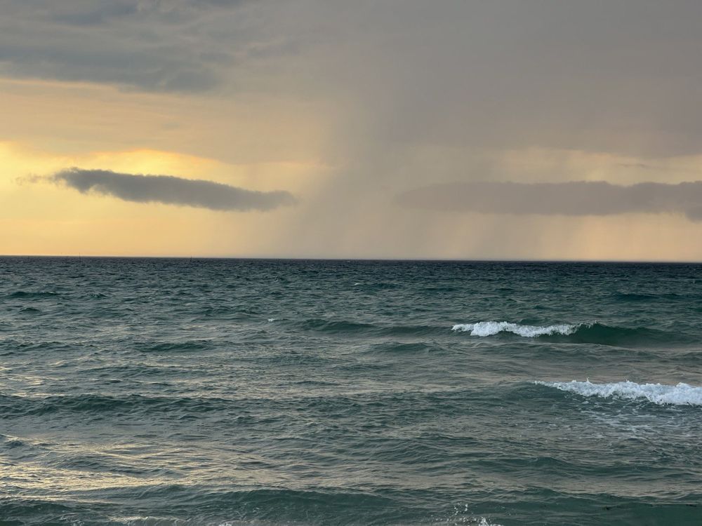 ��� ���������� �������� ����� 7 �����, ���������� ��� � ������� �����