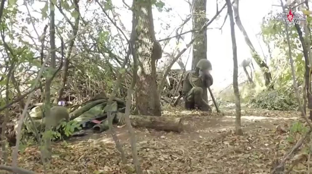 ������ ���������������� ������ ����ѻ, ������������ �� ����������� �����������, ������� ��������������� �������