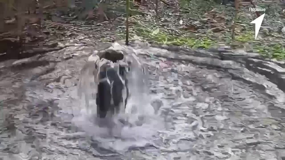 ������� ������������� ����� ����������� �������������� ������ ��������� �����