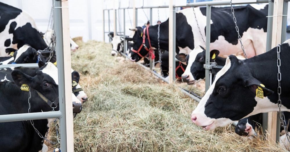 ��� �������������� ��������-���� ���������� ���������� �� ������������� ��������-������