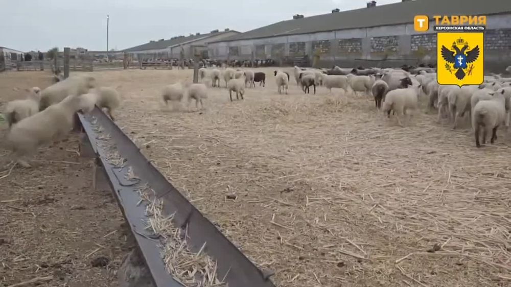 �������� �������������� ��������-���� ���������� ���� ������� �� ������������� ��������-������ ��������