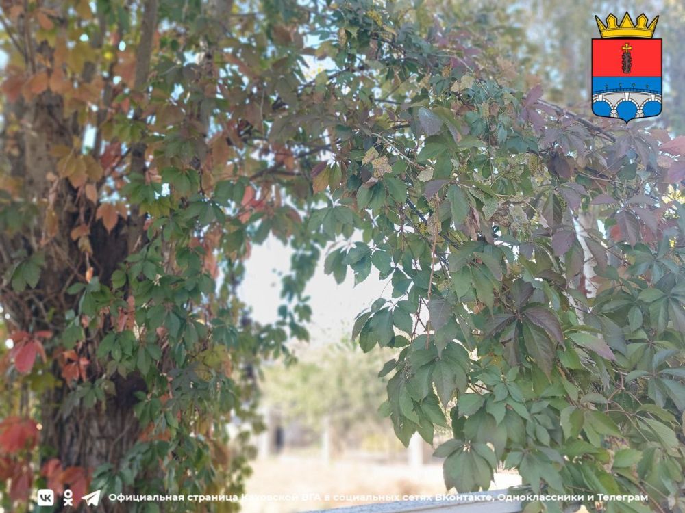 ������ ����, �������!. @VGA_Kakhovka