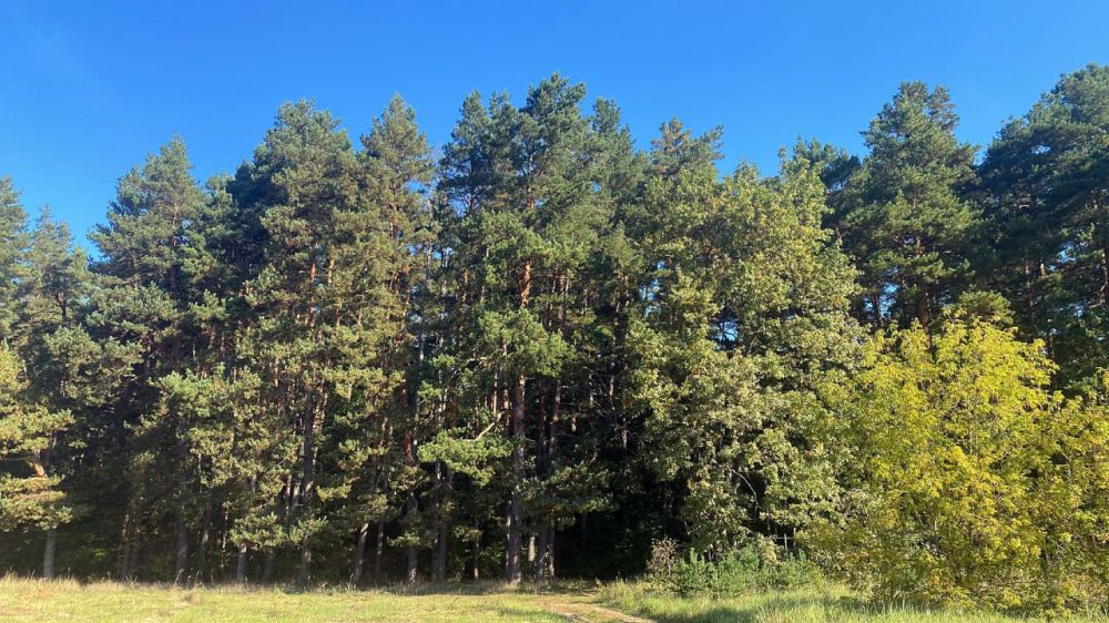 ��� ��������� ������� ��������� ������ � ������������ ���