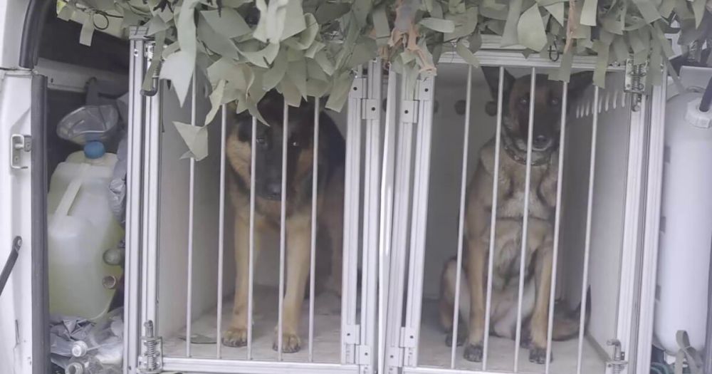 ��������� ������ ������� ����� ��������� � ������� ���������