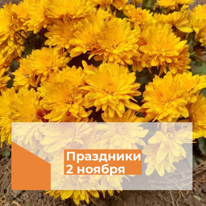 ��������� 2 ������. ������������� ���� ����������� ��������������� �� ������������ ������ ����������� �������� ���� ����...