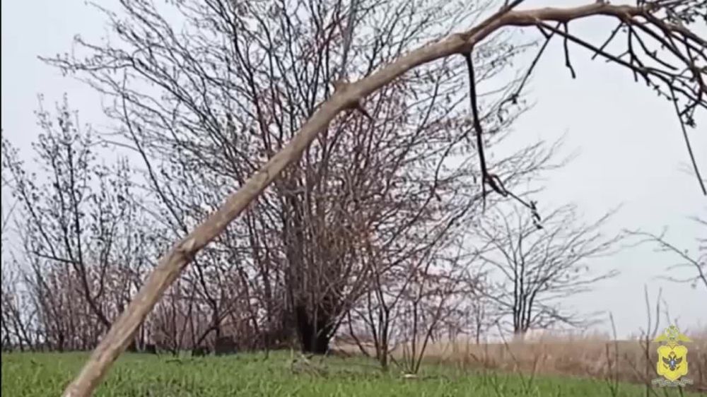 ���������� �� ��� ������ � ���������� ������� ��������� � ������������ �� ���� ������ ����������� � ���������������...