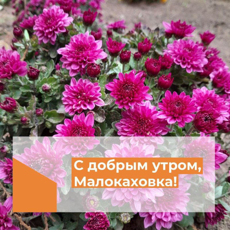 � ������ �����, �����������!