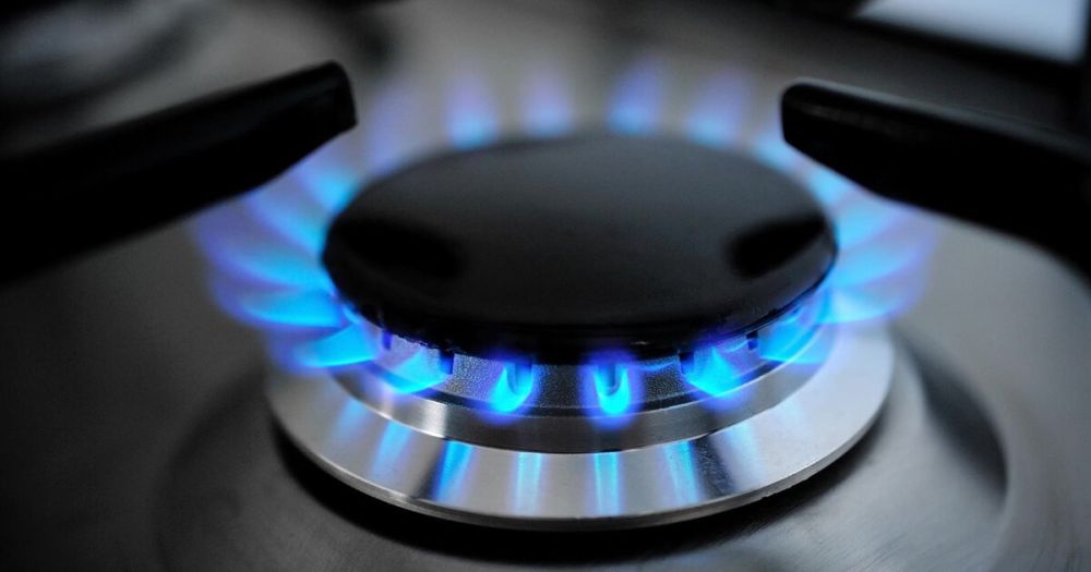 Николай Шульгинов заявил, что газ может стать основным источником энергии к 2050 году