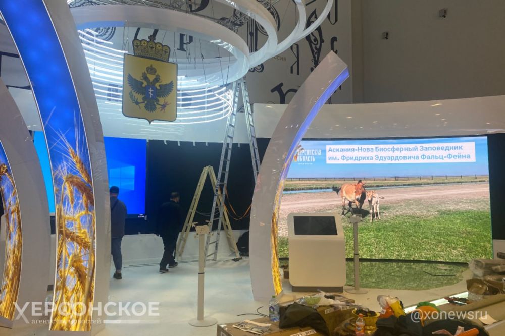 � ��� � ������ ����� �������!