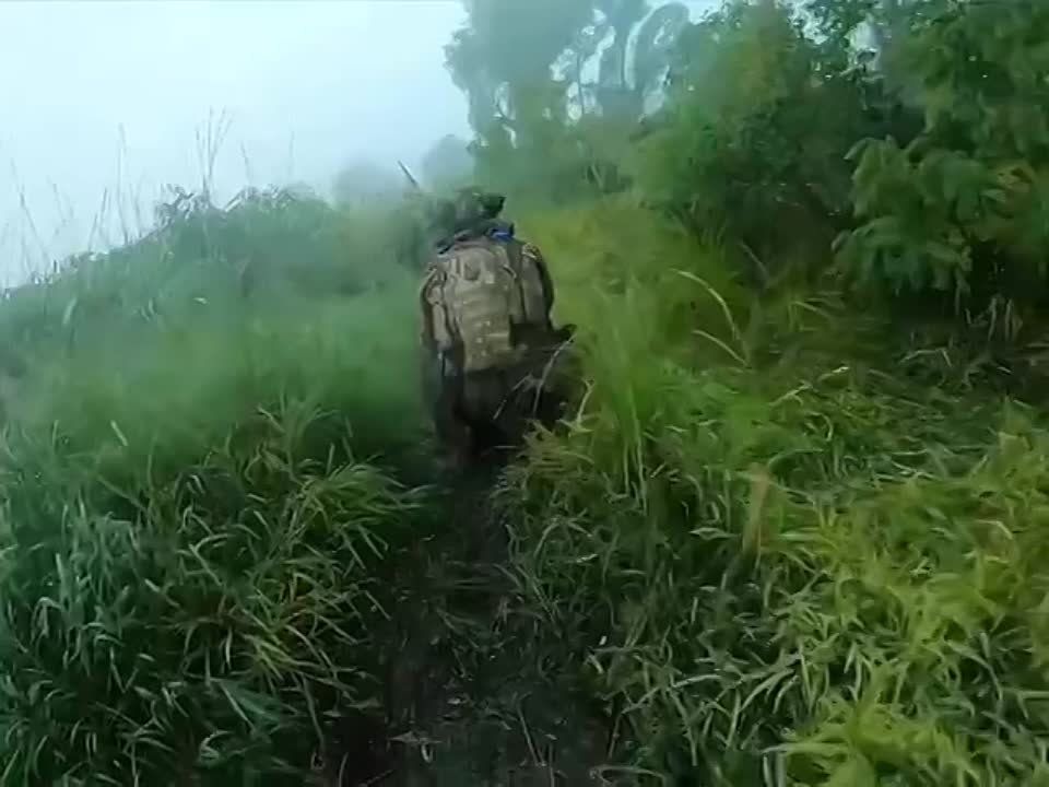 ��� ������: ���������� �����������, ��� �����