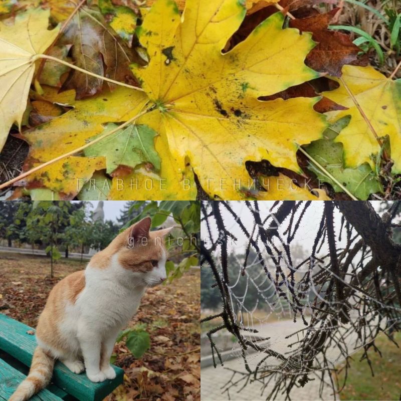 ������� � ������� � ����� � ��������� �� ��������� ��������