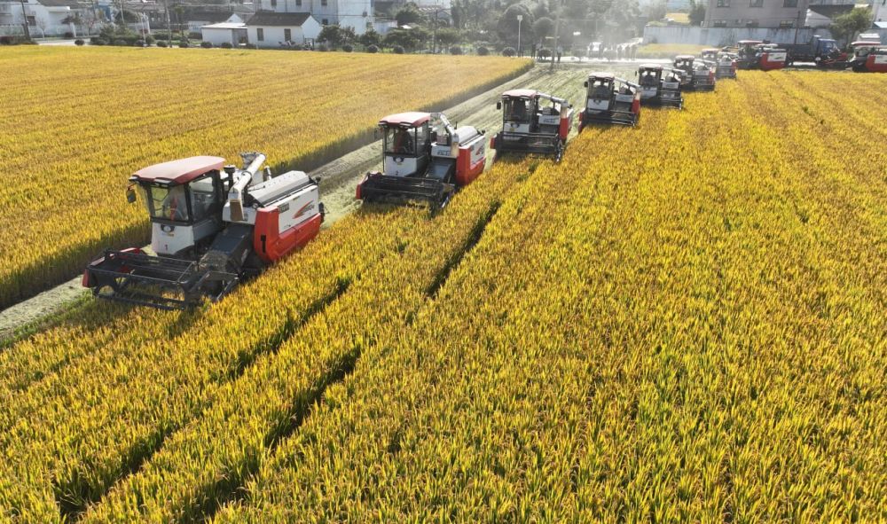 �.�. �������� �������������� �������� ���������� ������� ����� ������ ��������� � �������� ������� �� ������������ ��� ����������������, � ����� �� �������������� ���������� � �������