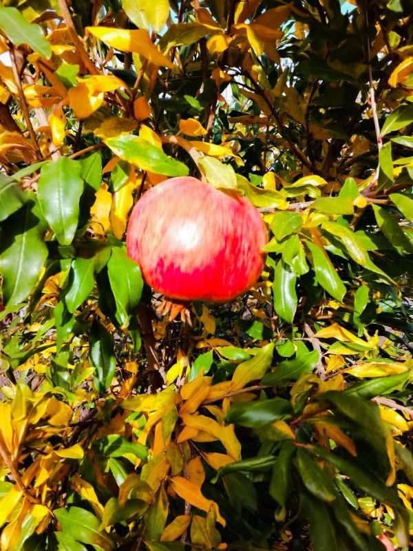 ���������� ������ �����: ��������� ������������ ������, ����� ������ � ������ � ��������� ��