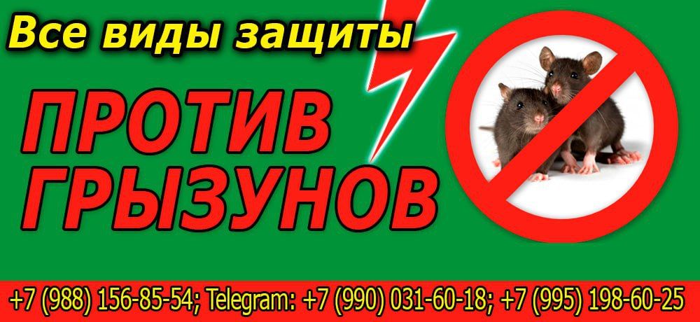 ������ ����� �������: ����, ������ ������� ��������� ����