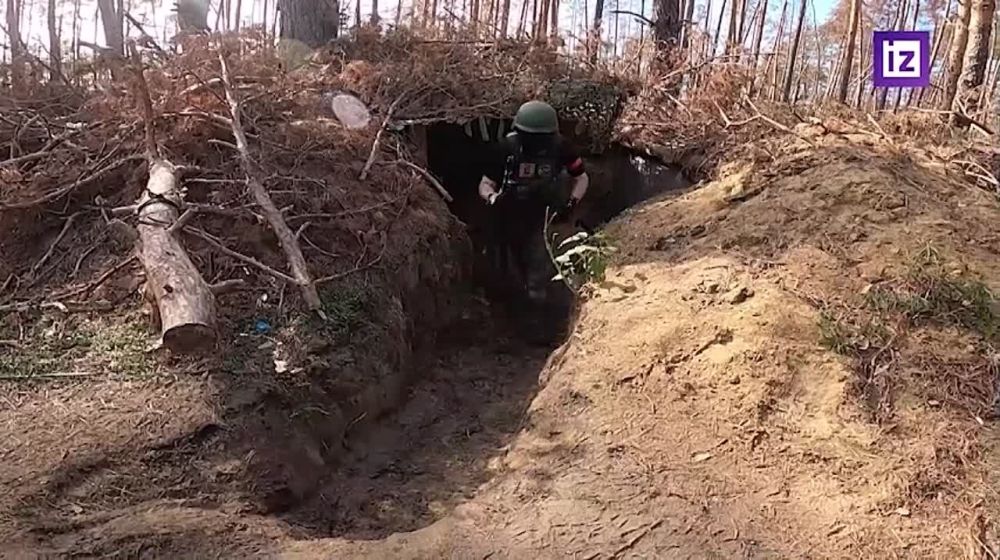 ����� �� �� ���������� �������� ���������� ���������� "����"