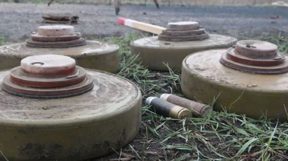 ������� ��� ������������ ���� ������ �������