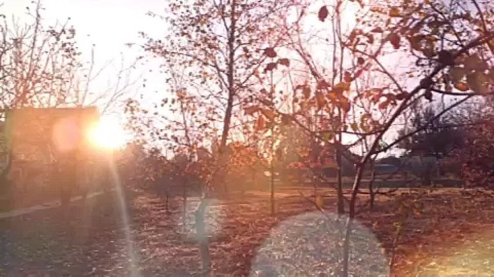 � ������ �����, �����������!