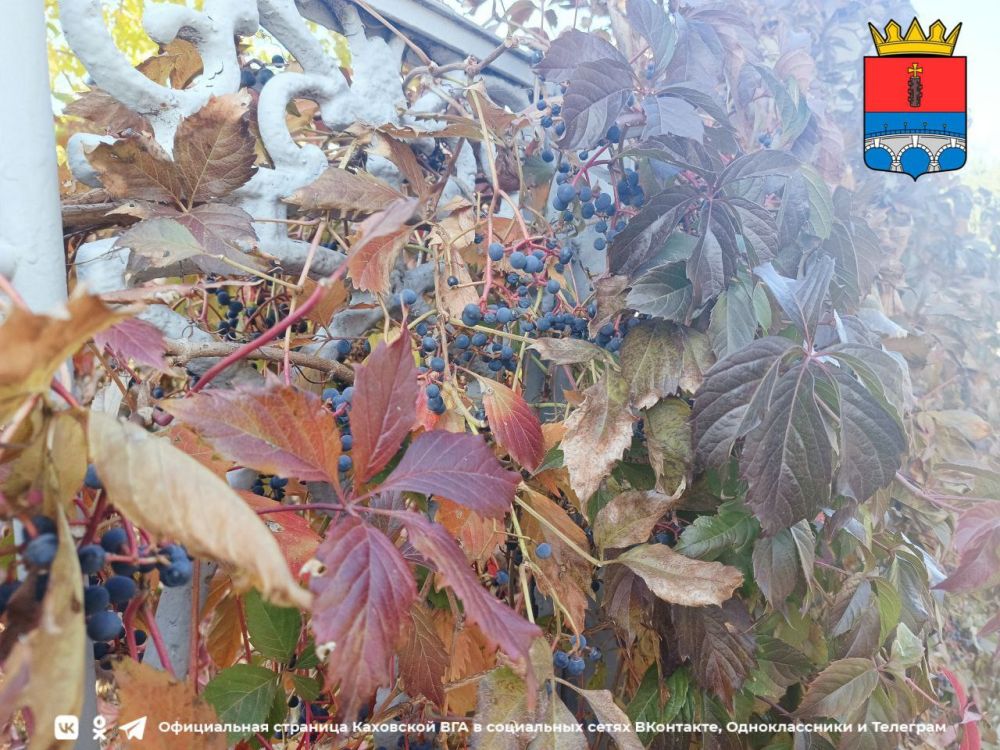 ������ ����, �������!. @VGA_Kakhovka