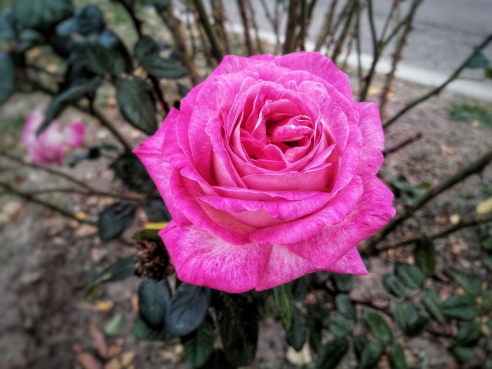 ������ ��������� ������� �� ������������������ ��!. ��� ������ ������