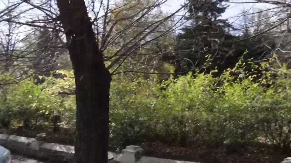 ������� � ����������.. ����� �������� �� �����, �������, ��� ���� ����� ����������. ��������� ������ � ������. ������������� ���������� ��������, ����� �� �������� � ���������� ������. ��� � ����