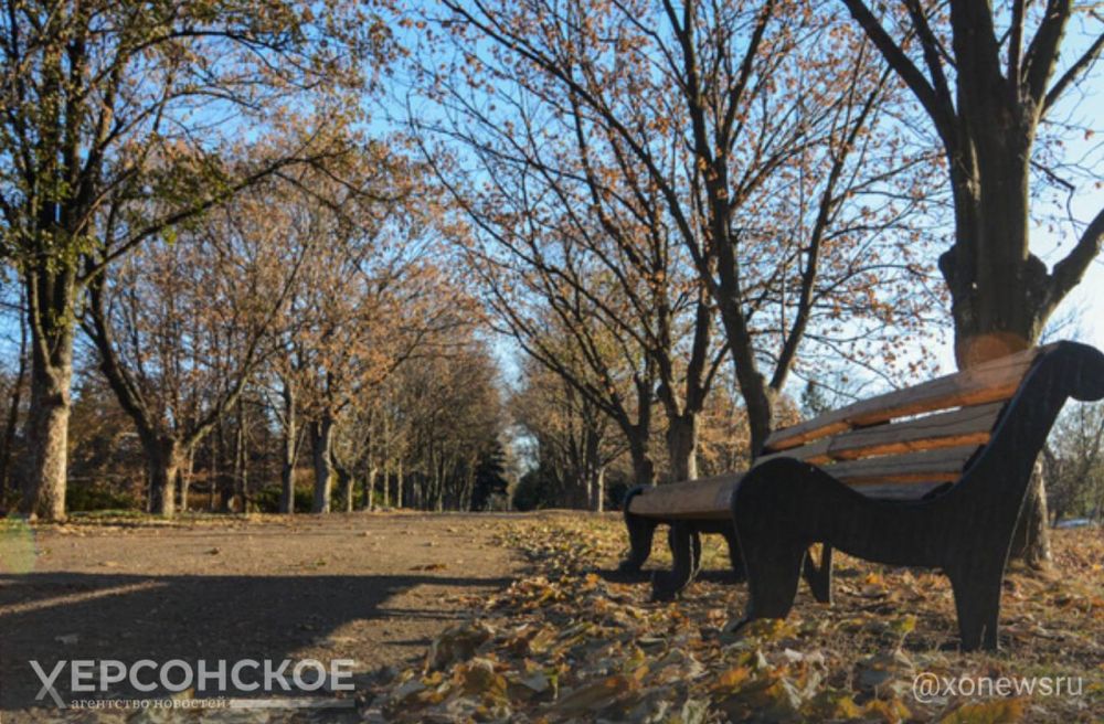 �������� ����������, ��� ���������� � �������������� �������������