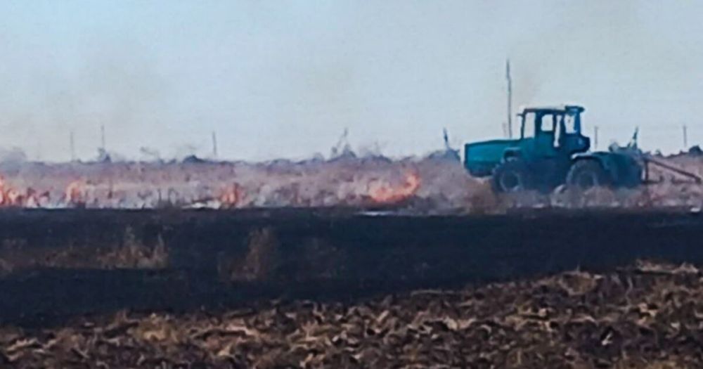 ������ ���� ������� ������� ������� ����� �� ���� ������������������� ������