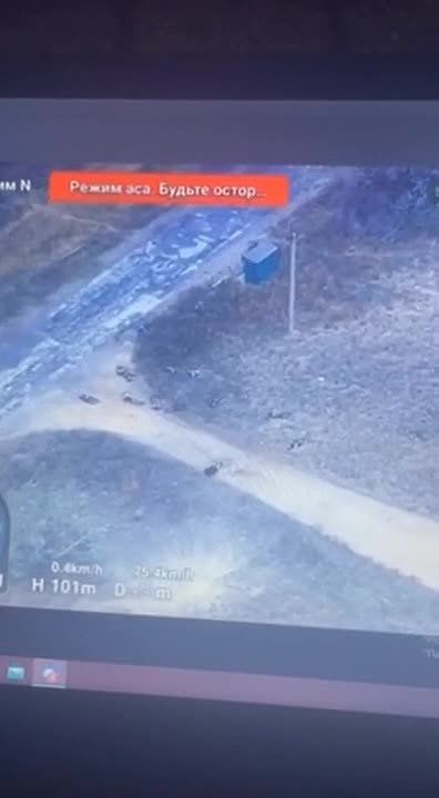 03.11.2023. ������, ���������� �������, ������