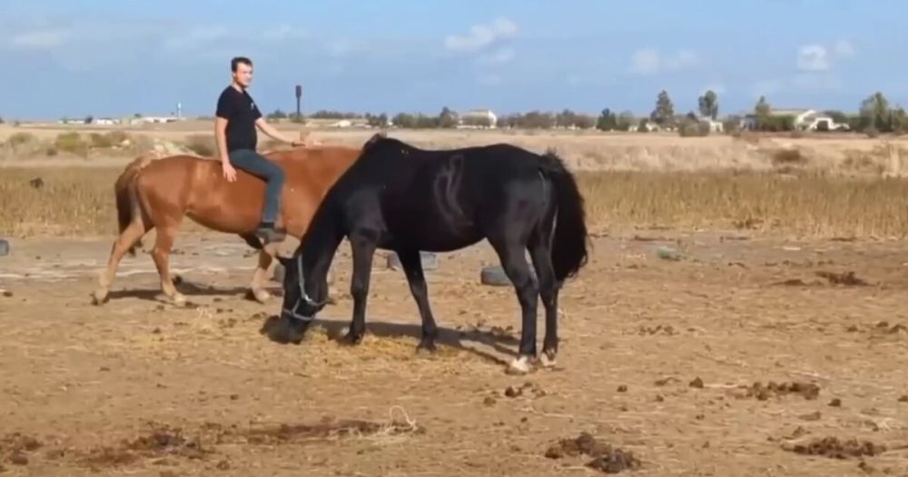 ������� ��������������� ����� ��������������� ������� � ���������