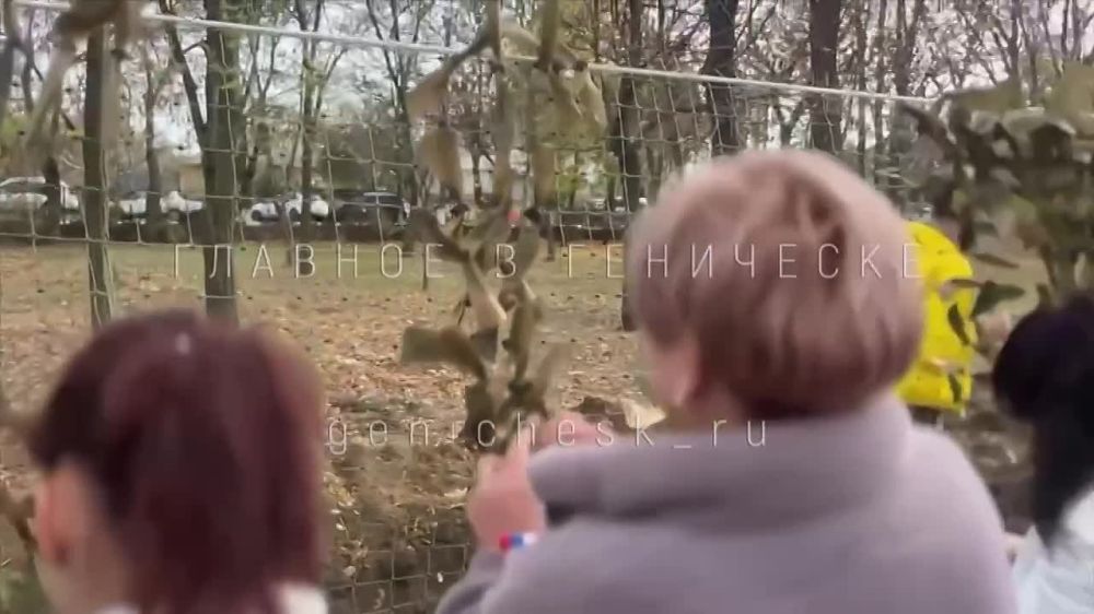 ���������� ������� ������ � ������� � ������������ ��� ������ ���������� �������� � ����������