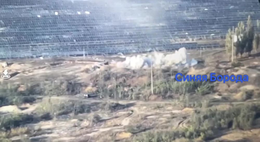 ׸���� ������ ������ 177 ����� ������� ������ ���������� ����� ���� ��� �� ���������� ������ ������ ������