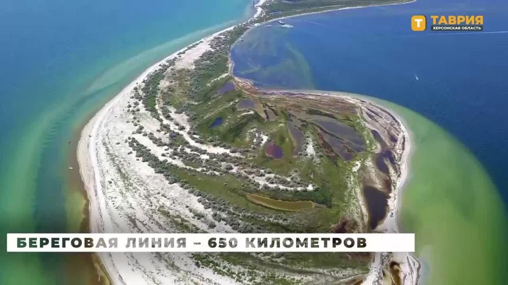 ���������� ������� �������� � �������