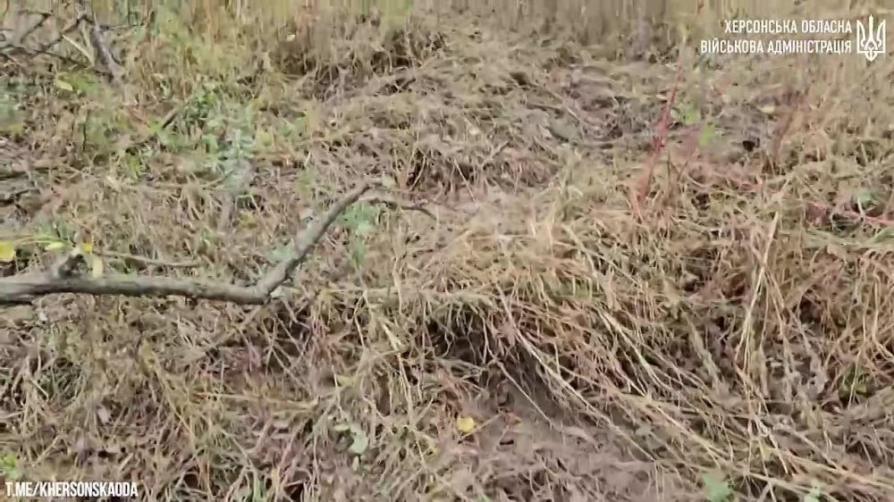 � �� ��� ������.... ������������ ����������: ���������� �� ��������� �� 04.10. �� 16:40 � � ������� ��������� �������. �� ��� ��������� � �������������. � ���� ��������������� ������� ������� ������