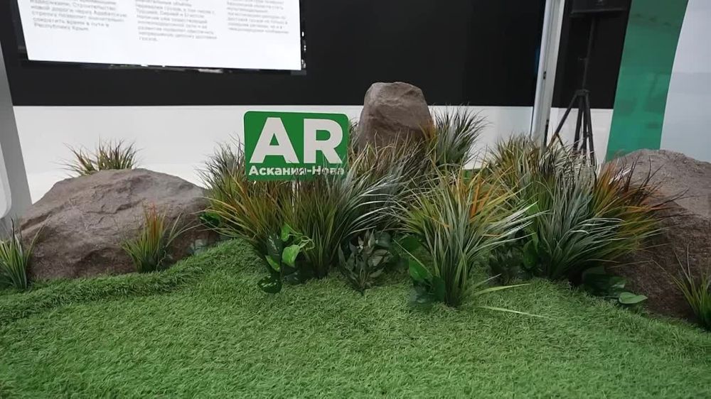 ������� ����� � ��������-������ ��������