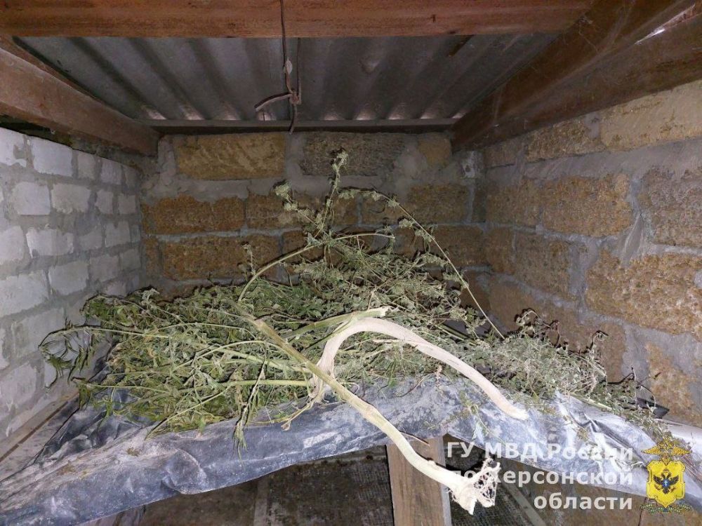 � ���������� ������� ����������� ������ ��������� ��������� � ���������� �. ��������