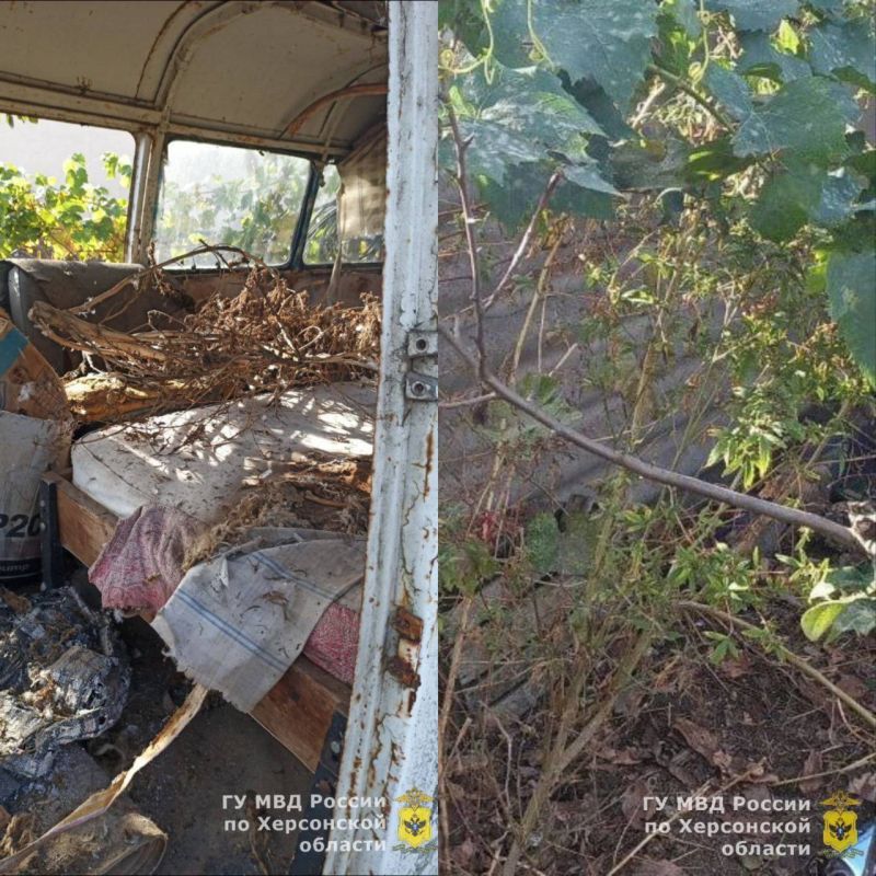 ����������� �������� �� �������� ������� � ���������