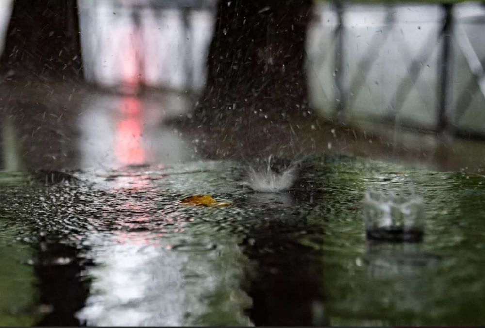 ������ �� ����� ����������� ������