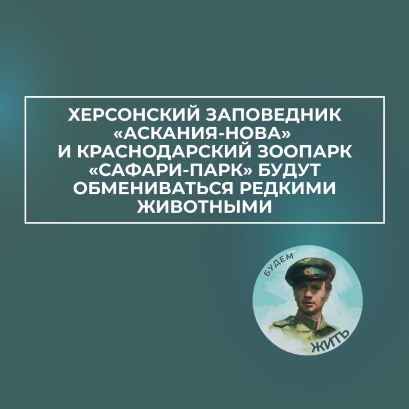 ���������� ���������� ��������-���� � ������������� �������-���� ������������ � ��������������