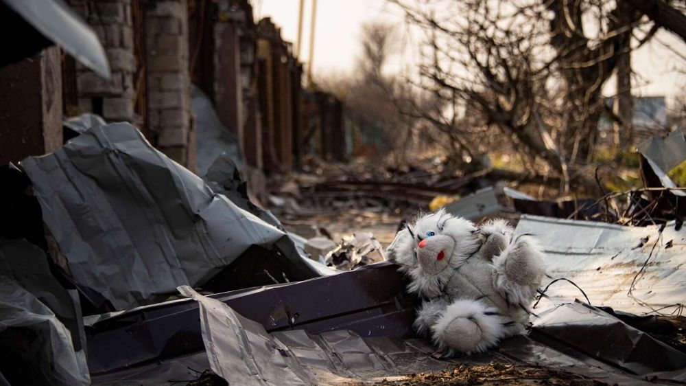 ��� ���� �� ������: ����� 90 �������� �������� �� ����������� ����������