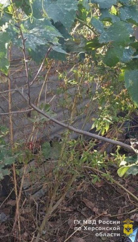 � ������ ����������� ������ ���������� ������� ������ ��������� � ���� �������