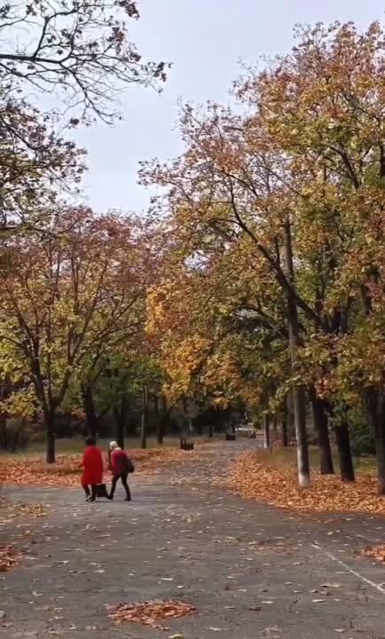 ������ �������