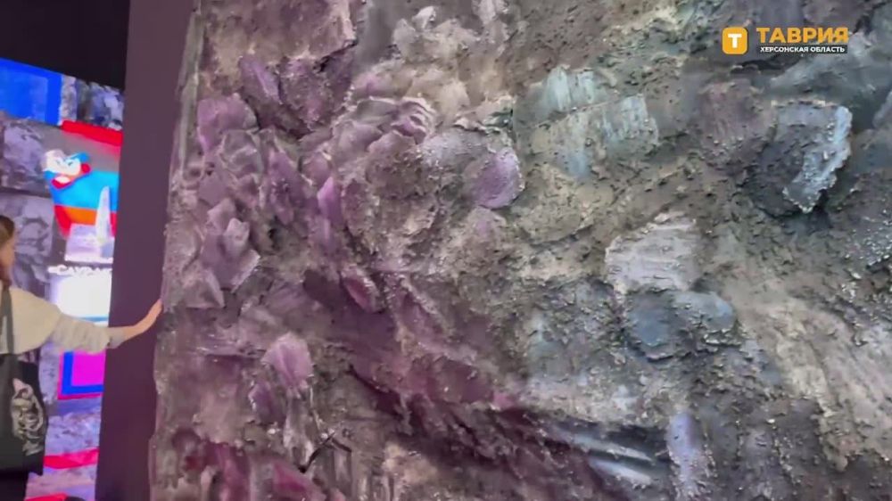 �������� �������� ���������� ����������� �� ������-�������� "������" ����� � ����� �������� ����