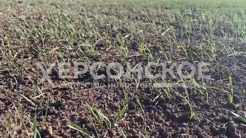 ��� ���, ������ ������� ������ ��������� ������ �� ����� �������!