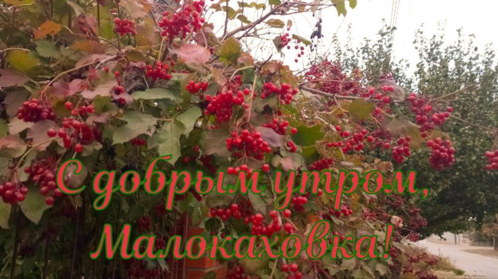 ������ ����, ������� �����������!