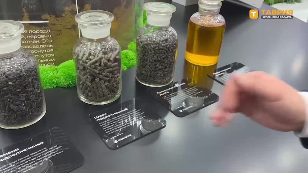 ������� ������� ���������� ���������� "������� � ������" �� ��������-������ "������"