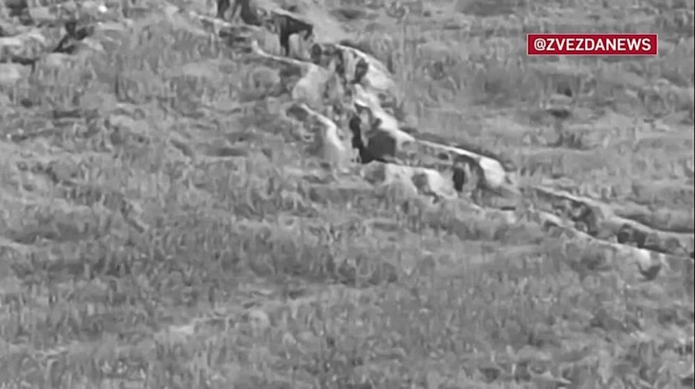 ����� ����� ���������� ��������� ������� ��� � ������ ��������