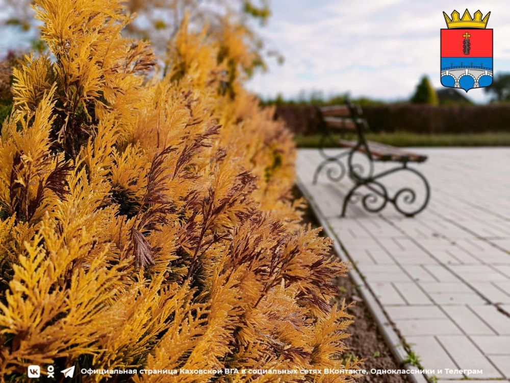 ������ ����, �������!. @VGA_Kakhovka