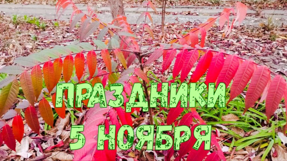 ��������� 5 ������. ���� �������� ����������